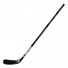 Клюшка ЗАРЯД АК47